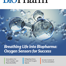 Advancing Peptide Development: From R&D, Scale-Up, Through Quality Control